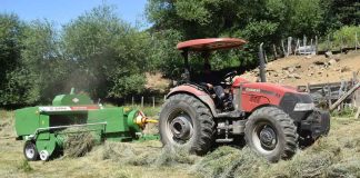 INDAP promueve autonomía forrajera en Alto Biobío con entrega de enfardadora para pequeños ganaderos