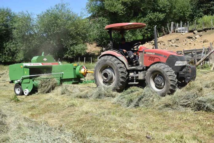 INDAP promueve autonomía forrajera en Alto Biobío con entrega de enfardadora para pequeños ganaderos