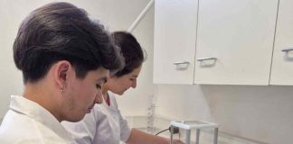 INIA y Royal Botanic Gardens, Kew abren postulaciones a curso internacional sobre conservación de semillas