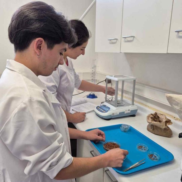 INIA y Royal Botanic Gardens, Kew abren postulaciones a curso internacional sobre conservación de semillas