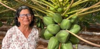 Mujer Agroinnovadora Regional Arica 2025 reconocida por FIA cosecha sus primera papayas con IoT