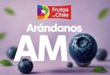 Industria argentina del arándano destaca la promoción de los arándanos chilenos para fortalecer el consumo de la categoría