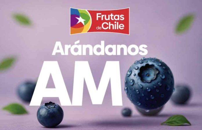 Industria argentina del arándano destaca la promoción de los arándanos chilenos para fortalecer el consumo de la categoría