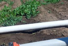 Innovación circular en Los Lagos: sistema de riego con plástico reciclado logra más de 65% de eficiencia y reduce consumo energético