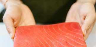 Innovación y tecnología marcarán AQUASUR 2026: el encuentro acuícola que reunirá a líderes del sector en el sur de chile