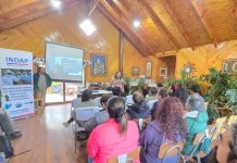 Jóvenes rurales y miembros del Comité Apícola de Aysén se capacitan con apoyo de INDAP y el Gobierno Regional en Chile Chico Jóvenes rurales y miembros del Comité Apícola de Aysén se capacitan con apoyo de INDAP y el Gobierno Regional en Chile Chico