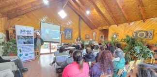 Jóvenes rurales y miembros del Comité Apícola de Aysén se capacitan con apoyo de INDAP y el Gobierno Regional en Chile Chico