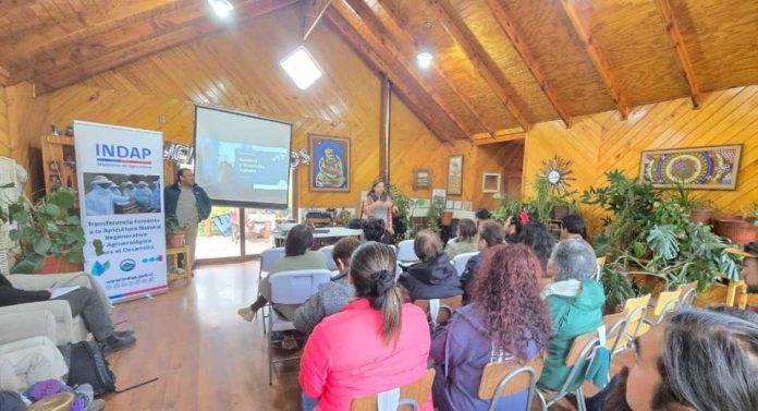 Jóvenes rurales y miembros del Comité Apícola de Aysén se capacitan con apoyo de INDAP y el Gobierno Regional en Chile Chico Jóvenes rurales y miembros del Comité Apícola de Aysén se capacitan con apoyo de INDAP y el Gobierno Regional en Chile Chico
