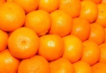 La UE detecta las primeras naranjas de Egipto con residuos y productos fitosanitarios prohibidos