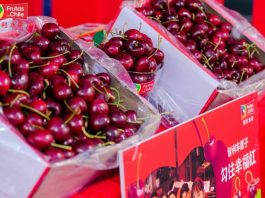 La industria de la cereza entra en una era de ajuste "se termina el súper ciclo de altos precios"