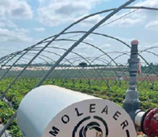 La tecnología que redefine el riego agrícola en Europa