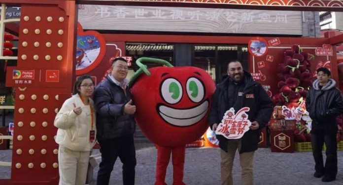 Las ventas de cerezas al final de la temporada ponen de relieve el papel cada vez más importante del comercio electrónico y las retransmisiones en directo Las ventas de cerezas al final de la temporada ponen de relieve el papel cada vez más importante del comercio electrónico y las retransmisiones en directo