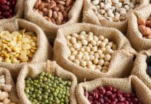 Legumbres, proteína vegetal estratégica para el futuro alimentario