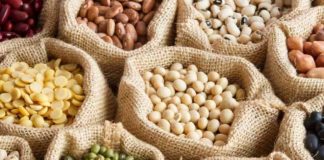 Legumbres, proteína vegetal estratégica para el futuro alimentario