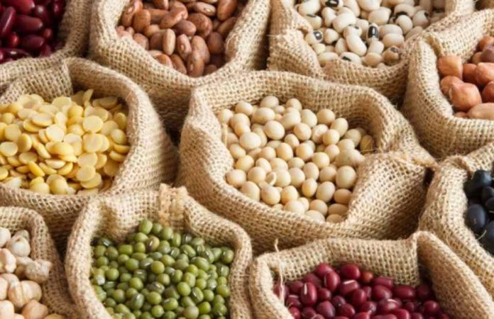Legumbres, proteína vegetal estratégica para el futuro alimentario