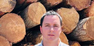 Ley de Incendios: Más allá de las sanciones