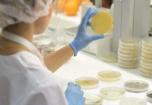 Lisboa Bioestimulantes microbianos mejoran la resistencia a la sequía