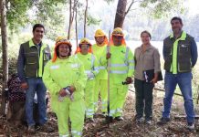 Los equipos del programa de emergencia están ejecutando diversos trabajos, como eliminación de material combustible