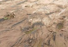 España | Los invernaderos de Almería, ‘en jaque’ por el viento y la humedad