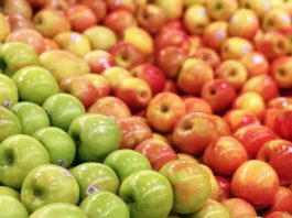 Manzanas europeas bajo la lupa: El 85% contiene «cócteles» de hasta 14 pesticidas destaca estudio Manzanas europeas bajo la lupa: El 85% contiene «cócteles» de hasta 14 pesticidas destaca estudio