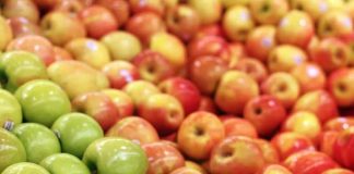 Manzanas europeas bajo la lupa: El 85% contiene «cócteles» de hasta 14 pesticidas destaca estudio