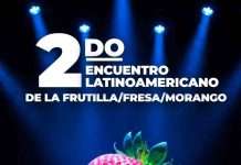 Más que un evento: la frutilla como punto de encuentro para la industria latinoamericana Más que un evento: la frutilla como punto de encuentro para la industria latinoamericana