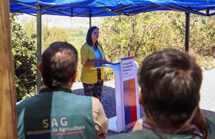 Ministerio de Agricultura destaca 50% de avance en erradicación de brotes de mosca de la fruta a nivel nacional