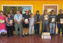 Ministerio de Agricultura realiza entrega de alimentación apícola para productores afectados por incendios en Ñuble Ministerio de Agricultura realiza entrega de alimentación apícola para productores afectados por incendios en Ñuble
