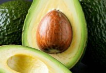 Científicos chilenos buscan extender la vida útil de la palta Hass postcosecha con agentes naturales Científicos chilenos buscan extender la vida útil de la palta Hass postcosecha con agentes naturales