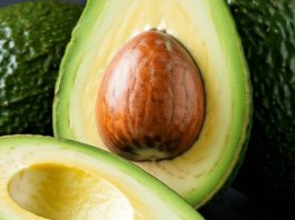 Científicos chilenos buscan extender la vida útil de la palta Hass postcosecha con agentes naturales 