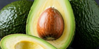 Científicos chilenos buscan extender la vida útil de la palta Hass postcosecha con agentes naturales 