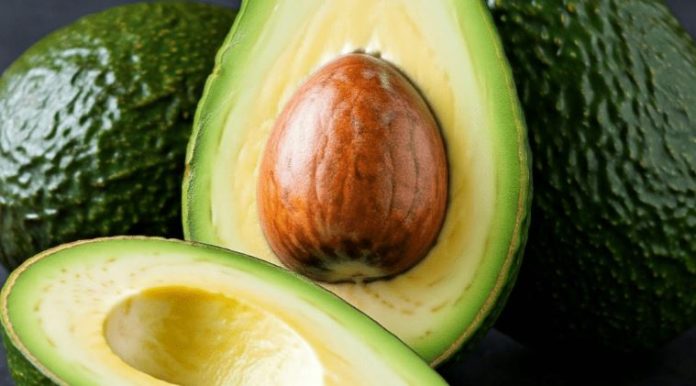 Palta Hass Científicos chilenos buscan extender la vida útil de la palta Hass postcosecha con agentes naturales