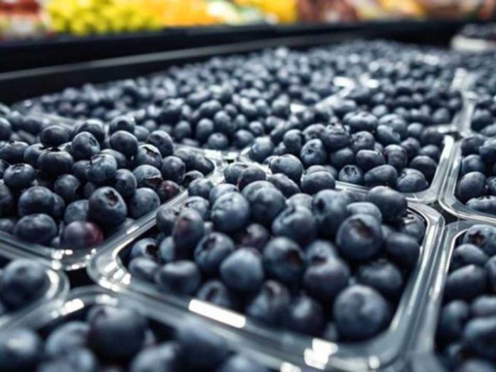 Perú Seminario Internacional Blueberries Lima 2026 Perú | Seminario Internacional Blueberries Lima 2026