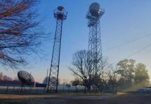 Plataforma SEPA: suman un indicador temporal clave para la vegetación