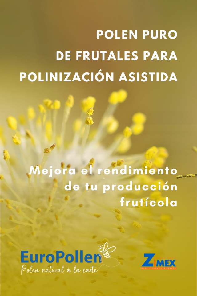 Polen Puro Europa Europollen Zimex