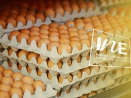 La producción de huevos de consumo presentó un aumento interanual de 3,4% en enero de 2026 Producción de huevos de consumo, INE
