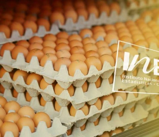 La producción de huevos de consumo presentó un aumento interanual de 3,4% en enero de 2026 Producción de huevos de consumo, INE