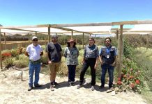 Productora de flores comestibles en Copiapó inició proceso de certificación orgánica.