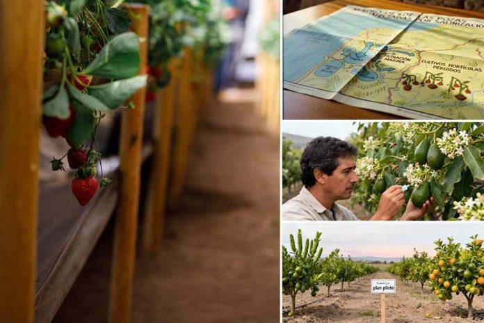 Proyectos de FIA en innovación de MINAGRI en Valparaíso