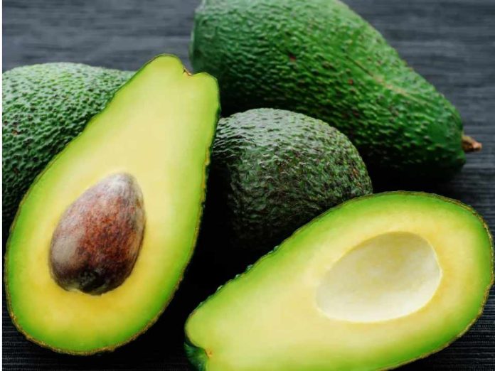 Región de Valparaíso Catastro Frutícola refleja caída en superficie plantada, pero liderazgo en tecnificación Región de Valparaíso: Catastro Frutícola refleja caída en superficie plantada, pero liderazgo en tecnificación