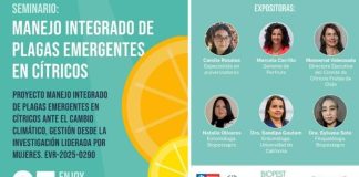 Seminario aborda el manejo integrado de plagas emergentes en cítricos, rubro clave para diversificar la fruticultura nacional Seminario aborda el manejo integrado de plagas emergentes en cítricos, rubro clave para diversificar la fruticultura nacional