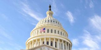 Senadores estadounidenses reintroducen la Ley SWAT para combatir la Drosophila de alas manchadas