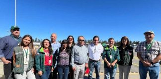 Tras visita de inspectores del Senasica: SAG y Frutas de Chile destacan positivos resultados para los envíos chilenos de frutas frescas a México Tras visita de inspectores del Senasica: SAG y Frutas de Chile destacan positivos resultados para los envíos chilenos de frutas frescas a México