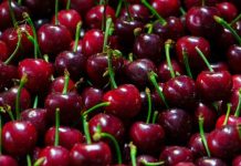 Víctor Catán (Fedefruta) y exportaciones de cereza a China: “Es un negocio que se va estrechando y no permite errores