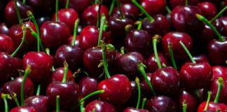 Víctor Catán (Fedefruta) y exportaciones de cereza a China: “Es un negocio que se va estrechando y no permite errores