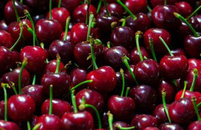 Víctor Catán (Fedefruta) y exportaciones de cereza a China: “Es un negocio que se va estrechando y no permite errores