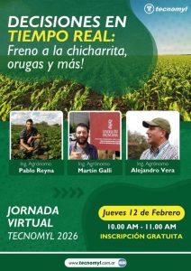 Argentina | Plagas en soja y maíz. Estrategias reales para actuar a tiempo