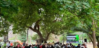 Cerca de dos mil asistentes marcan el éxito del Primer Encuentro Nacional de Plantas Nativas y Ornamentales