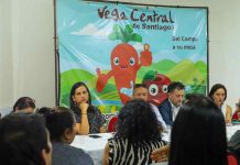 Gobierno coordina apoyos tras incendio en La Vega Central y descarta impacto en precios