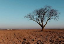 ¿A quién afecta el cambio climático? 65% de participantes de estudios considera que el riesgo es mayor para otros que para sí mismos